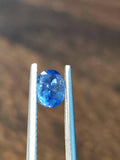 1.58 Ct Electric Royal Blue Sapphire Natural Heated Oval Vivid Neon Gemstone  for Ring