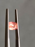 Ultra Rare Neon Salmon Pink Vayrynenite 0.70 Ct Natural Untreated Afghanistan Collector Gem