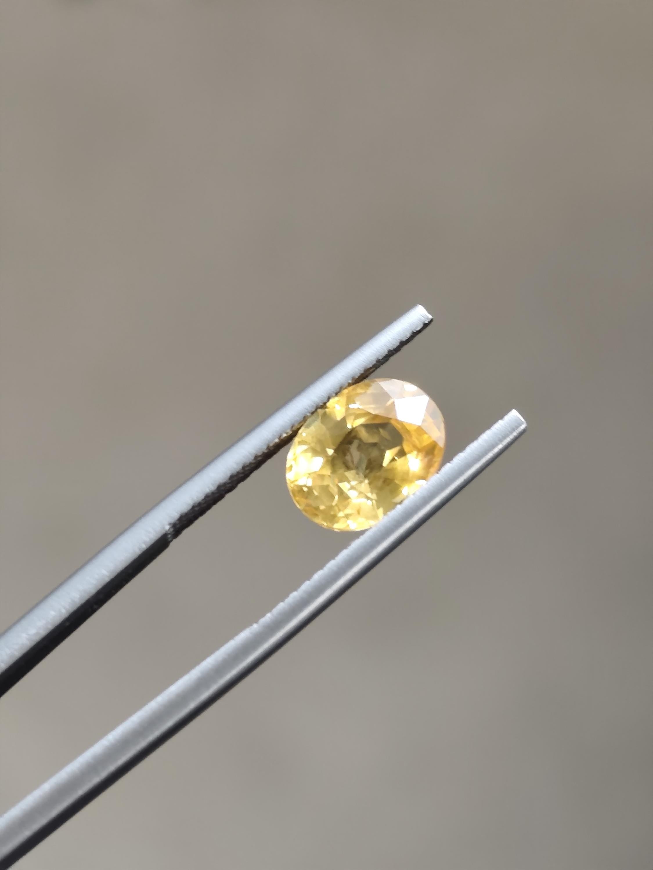 2.60 Ct Vivid Yellow Sapphire – Natural Ceylon Golden Sapphire Oval Cut