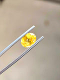 2.60 Ct Vivid Yellow Sapphire – Natural Ceylon Golden Sapphire Oval Cut